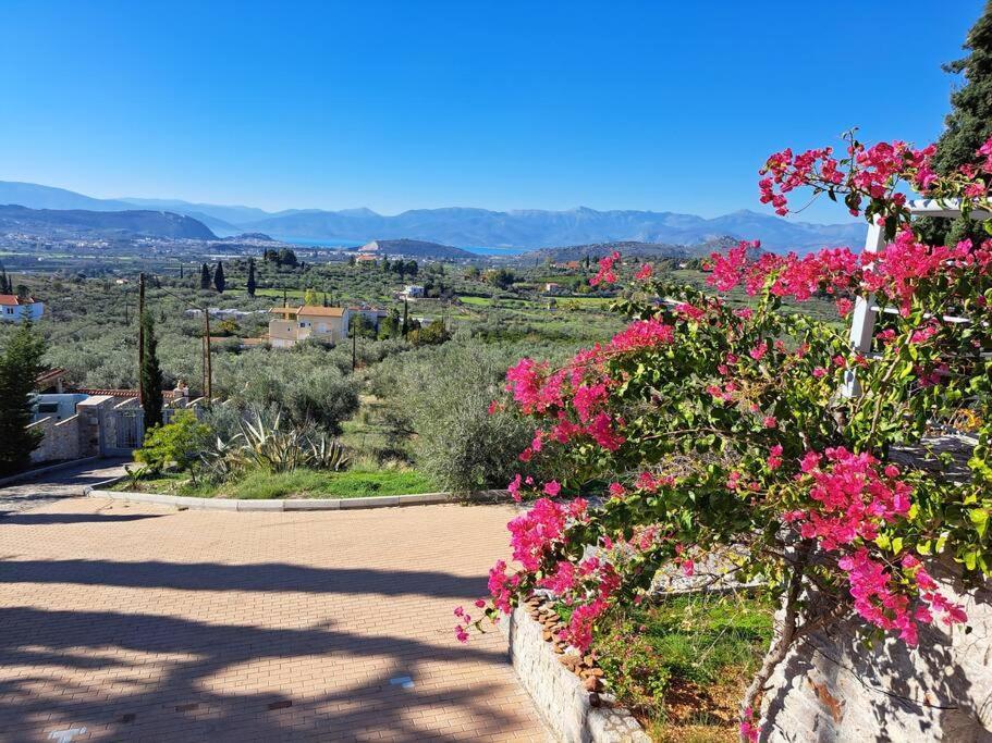 Nafplio, Hill With An Amazing View Apartman Kültér fotó